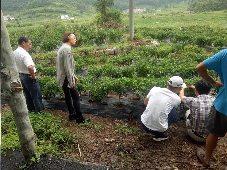 德赢·(VWIN)官方网站-AC米兰官方合作同伴