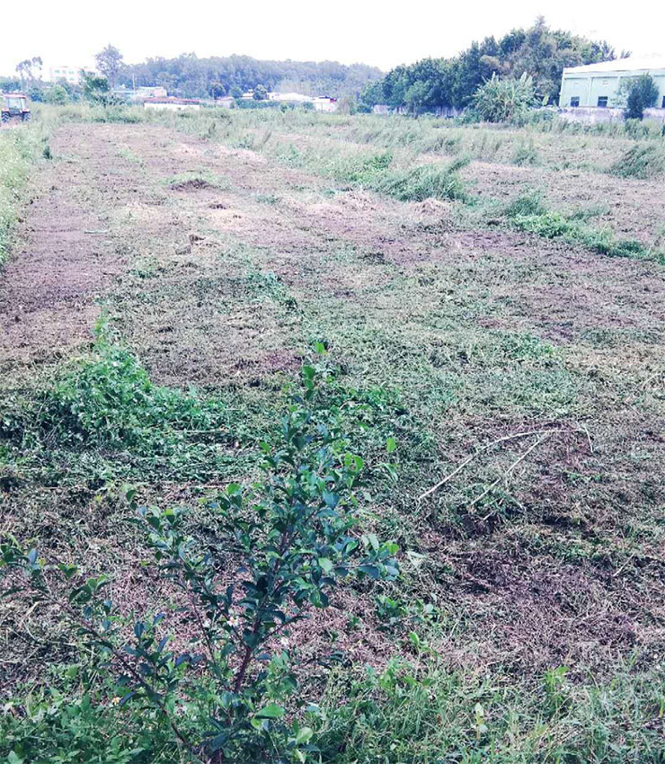 德赢·(VWIN)官方网站-AC米兰官方合作同伴