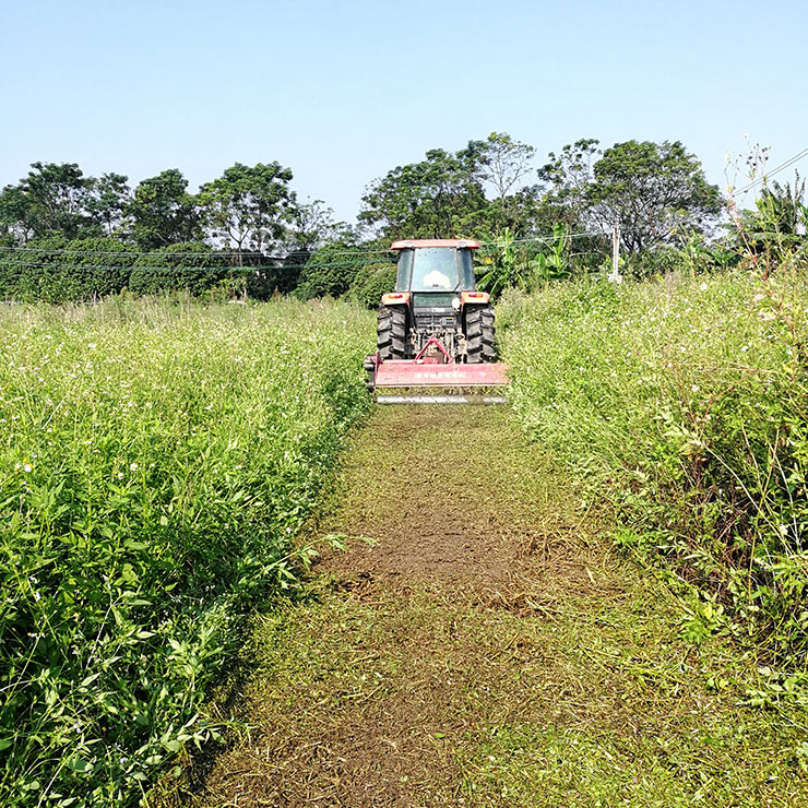 德赢·(VWIN)官方网站-AC米兰官方合作同伴