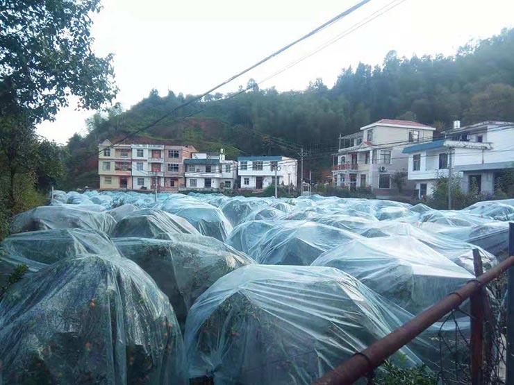 德赢·(VWIN)官方网站-AC米兰官方合作同伴