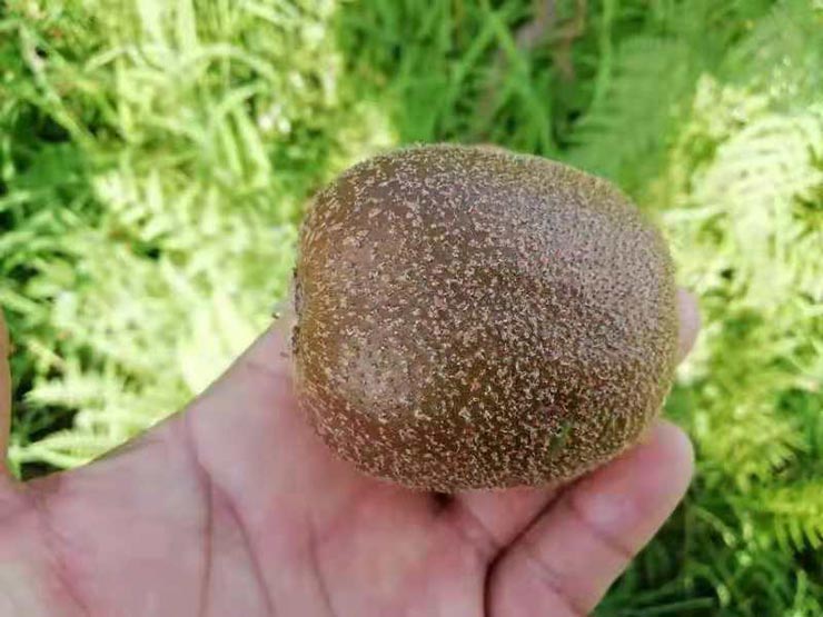 德赢·(VWIN)官方网站-AC米兰官方合作同伴