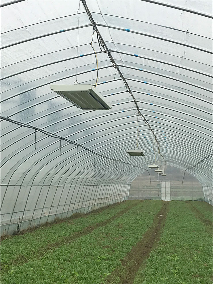 德赢·(VWIN)官方网站-AC米兰官方合作同伴