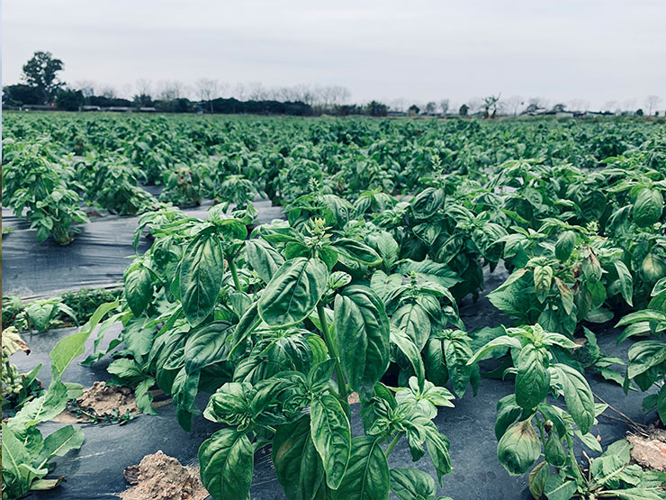 德赢·(VWIN)官方网站-AC米兰官方合作同伴