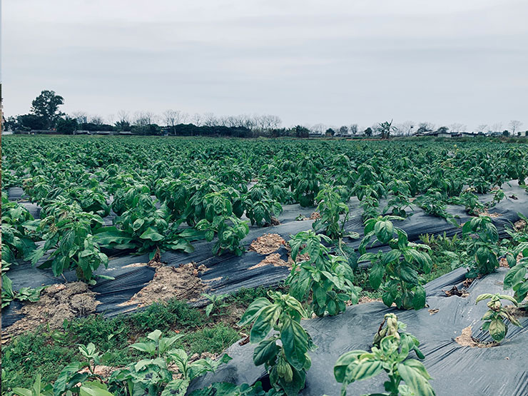 德赢·(VWIN)官方网站-AC米兰官方合作同伴