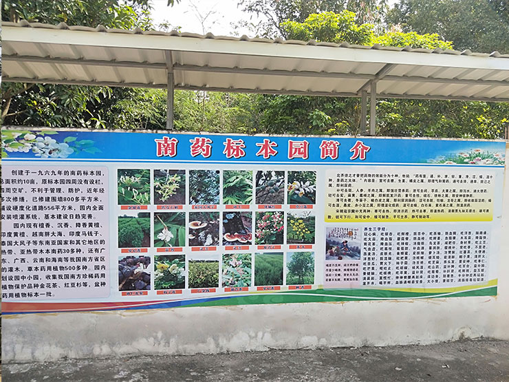 德赢·(VWIN)官方网站-AC米兰官方合作同伴