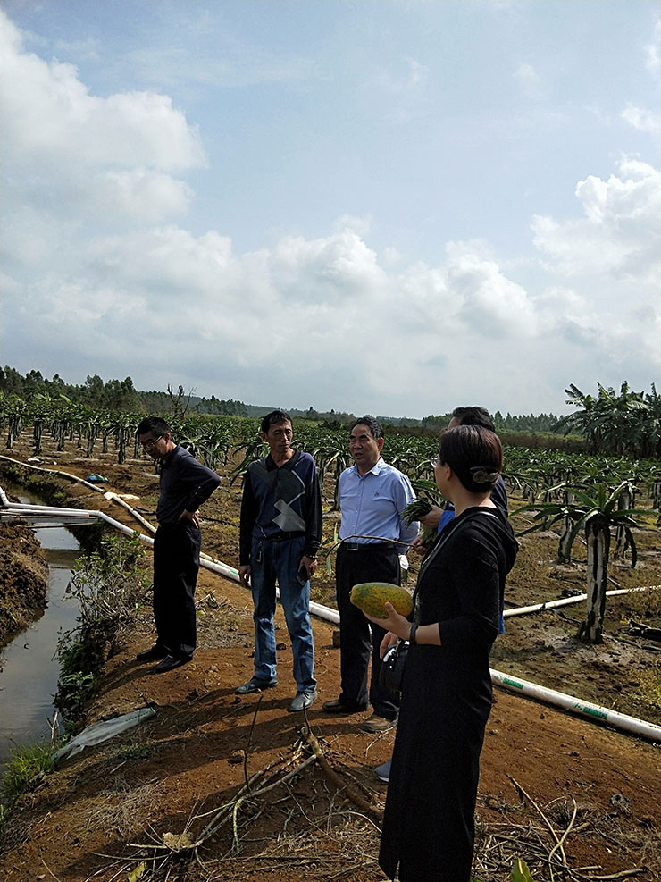 德赢·(VWIN)官方网站-AC米兰官方合作同伴