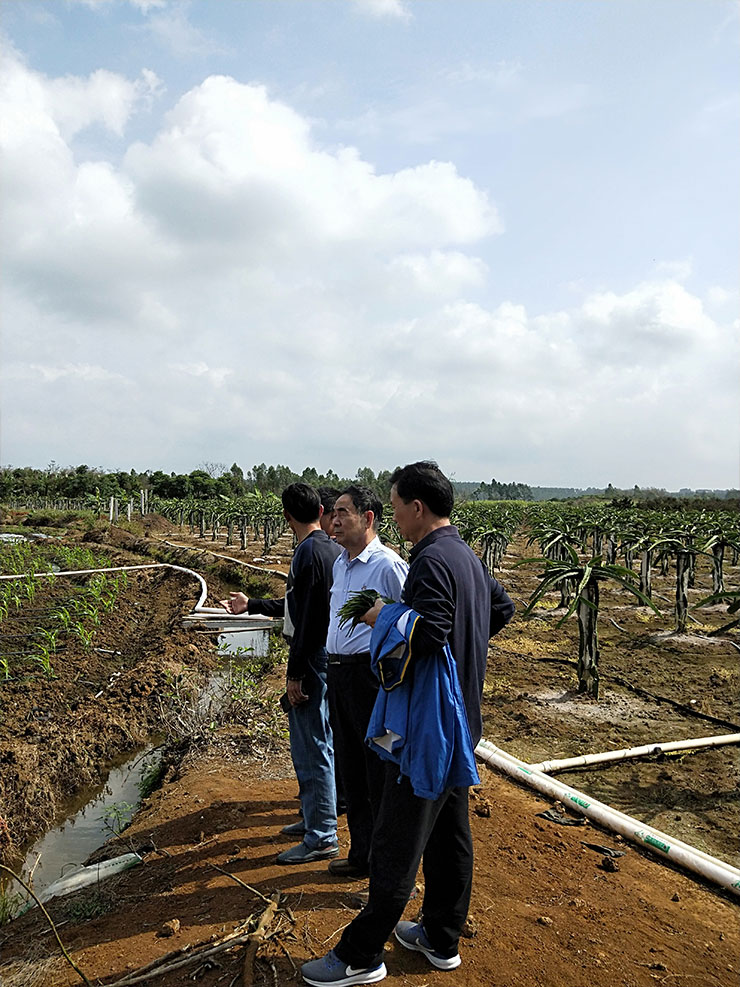 德赢·(VWIN)官方网站-AC米兰官方合作同伴