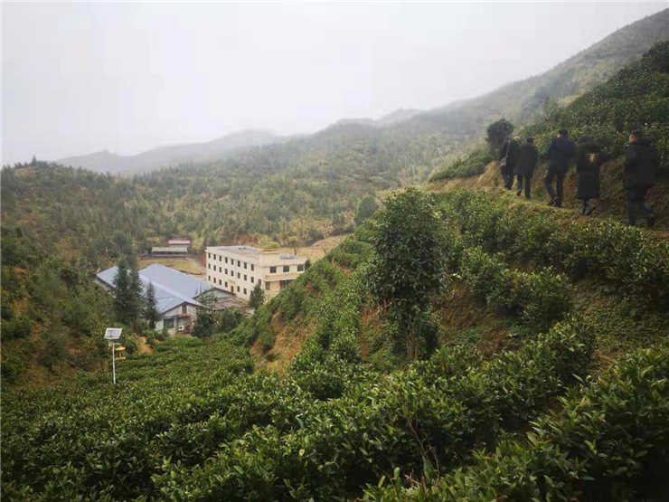 德赢·(VWIN)官方网站-AC米兰官方合作同伴