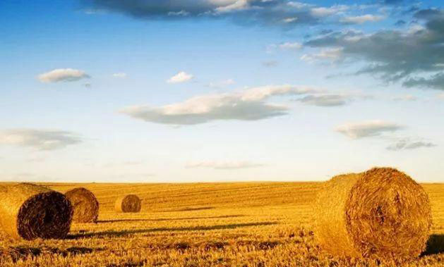 德赢·(VWIN)官方网站-AC米兰官方合作同伴