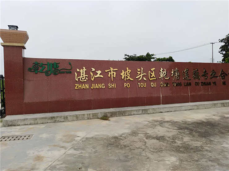 德赢·(VWIN)官方网站-AC米兰官方合作同伴