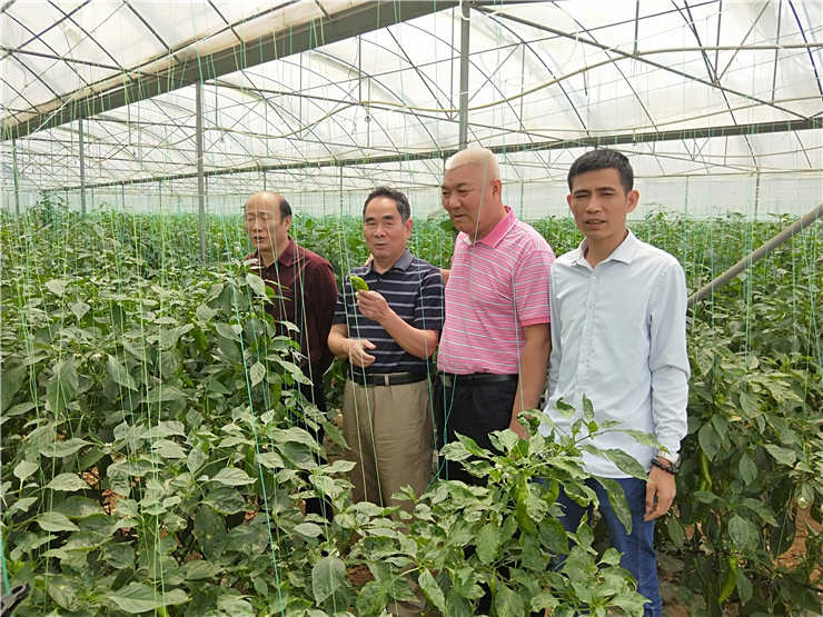 德赢·(VWIN)官方网站-AC米兰官方合作同伴