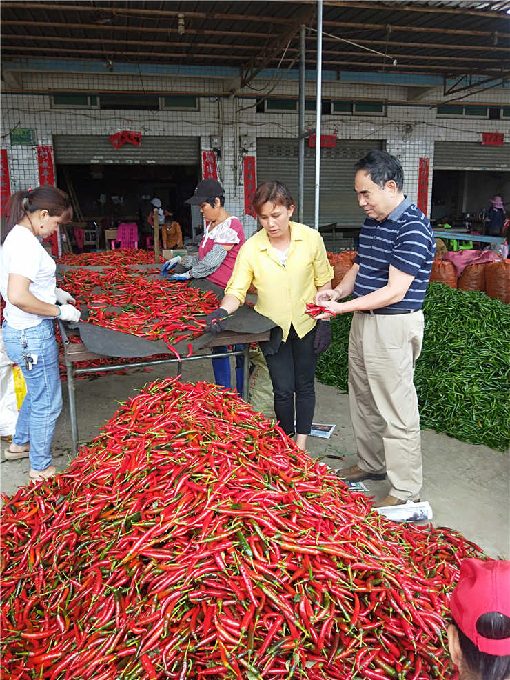 德赢·(VWIN)官方网站-AC米兰官方合作同伴