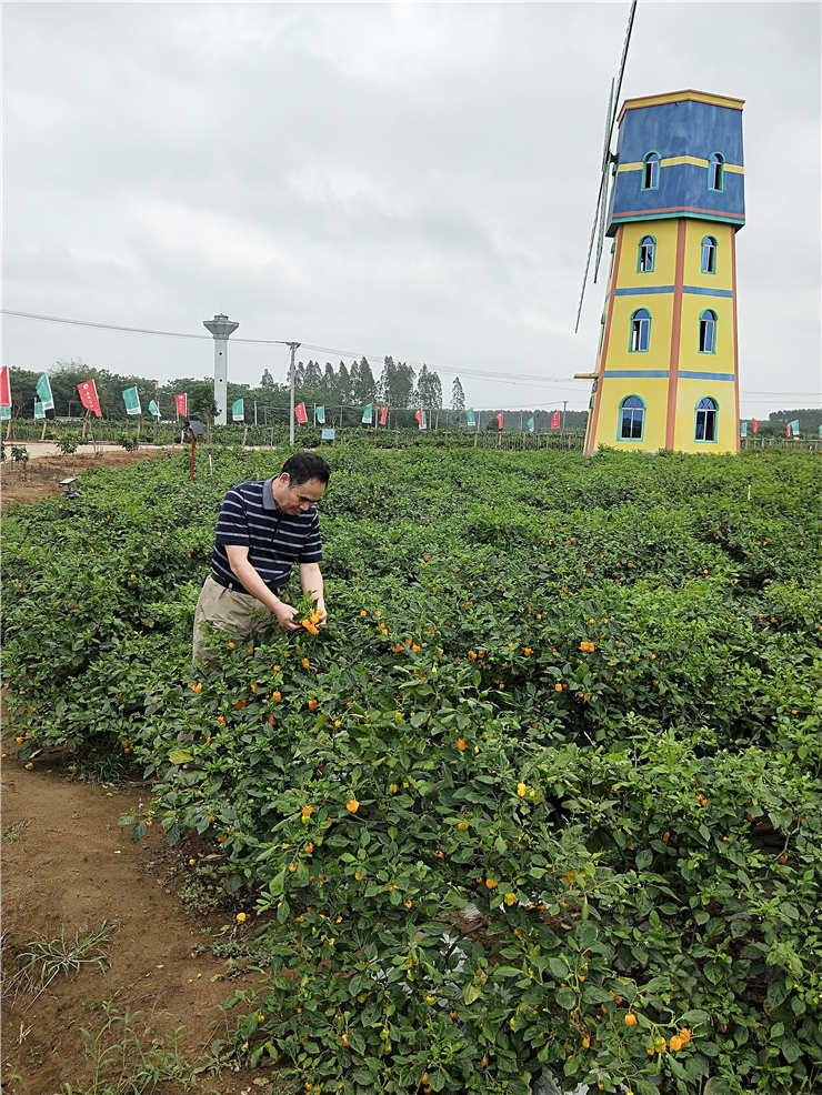 德赢·(VWIN)官方网站-AC米兰官方合作同伴