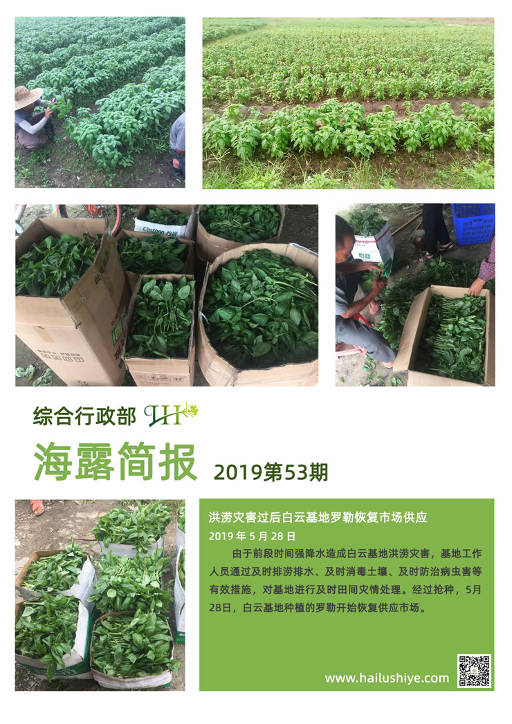 德赢·(VWIN)官方网站-AC米兰官方合作同伴