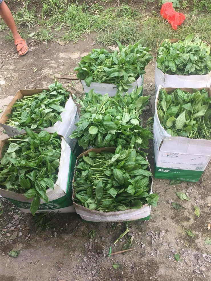 德赢·(VWIN)官方网站-AC米兰官方合作同伴