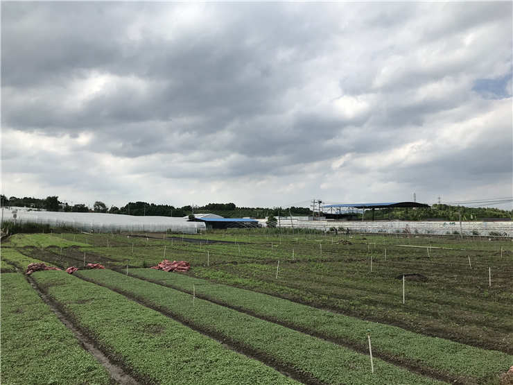 德赢·(VWIN)官方网站-AC米兰官方合作同伴