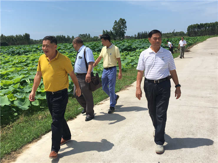 德赢·(VWIN)官方网站-AC米兰官方合作同伴