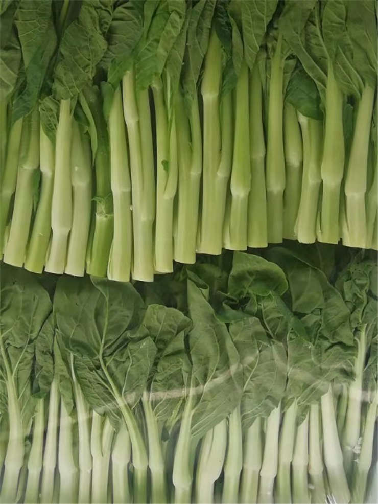 德赢·(VWIN)官方网站-AC米兰官方合作同伴