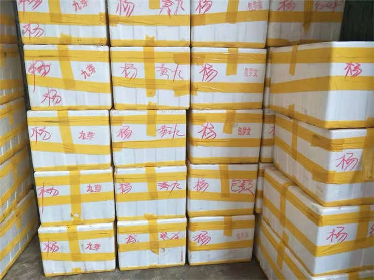 德赢·(VWIN)官方网站-AC米兰官方合作同伴