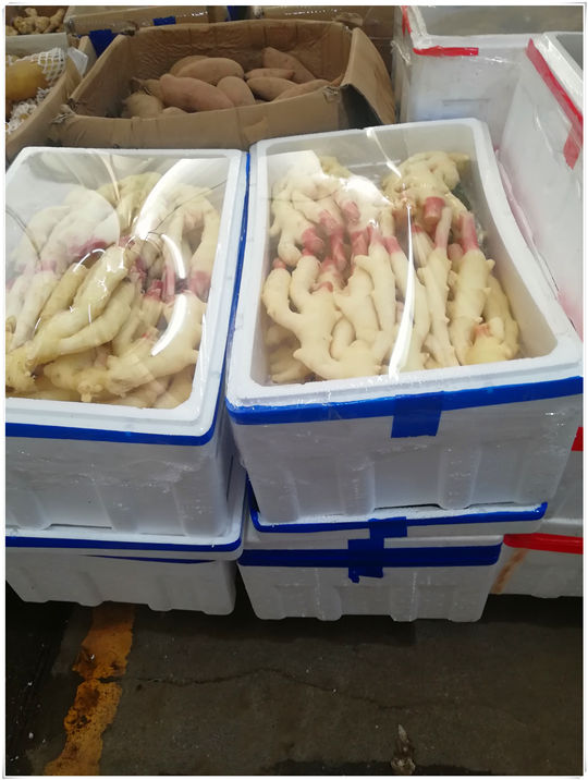 德赢·(VWIN)官方网站-AC米兰官方合作同伴