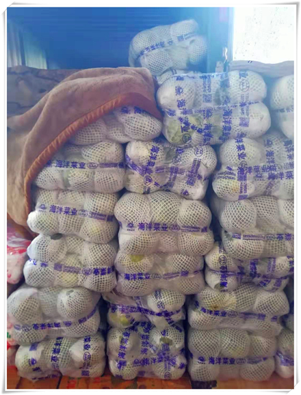 德赢·(VWIN)官方网站-AC米兰官方合作同伴