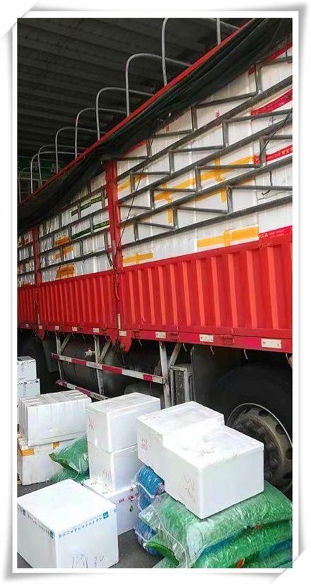 德赢·(VWIN)官方网站-AC米兰官方合作同伴