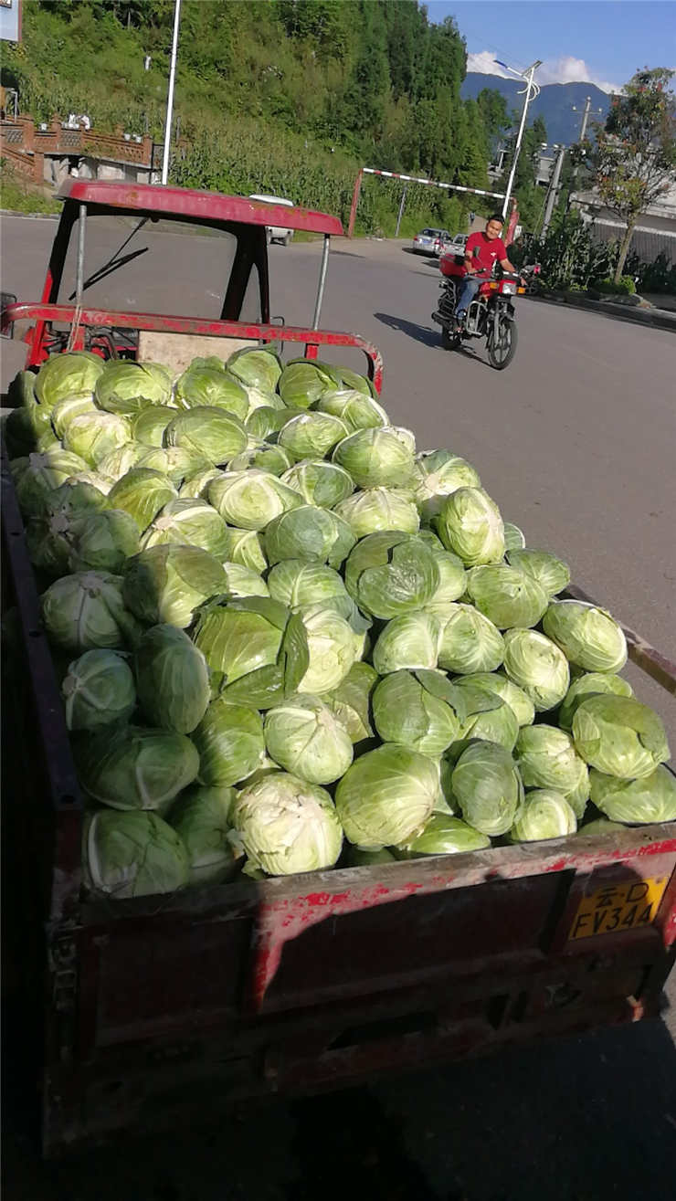 德赢·(VWIN)官方网站-AC米兰官方合作同伴