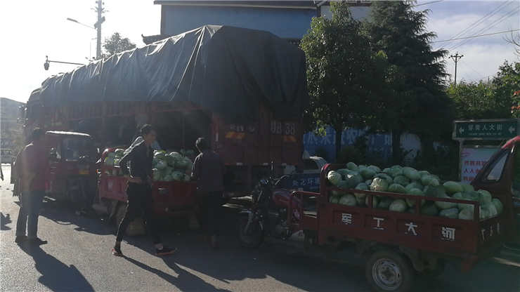 德赢·(VWIN)官方网站-AC米兰官方合作同伴