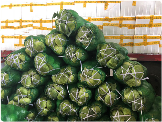 德赢·(VWIN)官方网站-AC米兰官方合作同伴