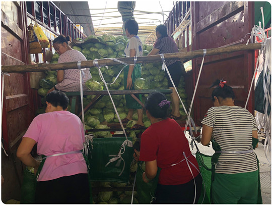 德赢·(VWIN)官方网站-AC米兰官方合作同伴