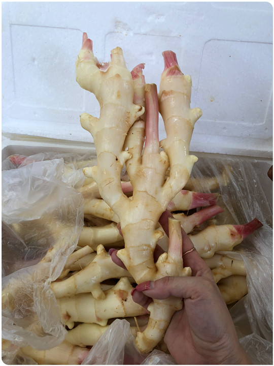 德赢·(VWIN)官方网站-AC米兰官方合作同伴