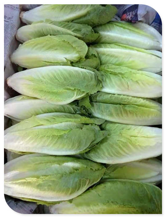 德赢·(VWIN)官方网站-AC米兰官方合作同伴