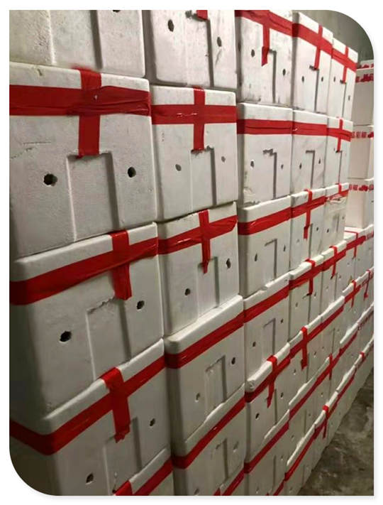 德赢·(VWIN)官方网站-AC米兰官方合作同伴