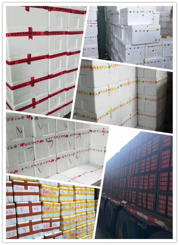 德赢·(VWIN)官方网站-AC米兰官方合作同伴