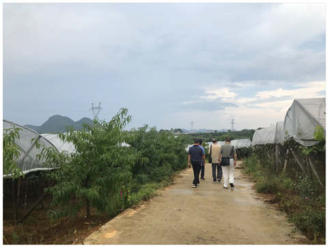 德赢·(VWIN)官方网站-AC米兰官方合作同伴