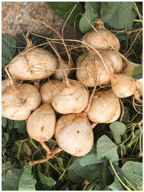 德赢·(VWIN)官方网站-AC米兰官方合作同伴