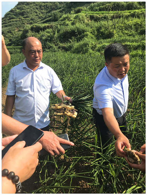 德赢·(VWIN)官方网站-AC米兰官方合作同伴