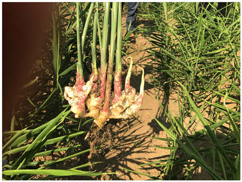 德赢·(VWIN)官方网站-AC米兰官方合作同伴