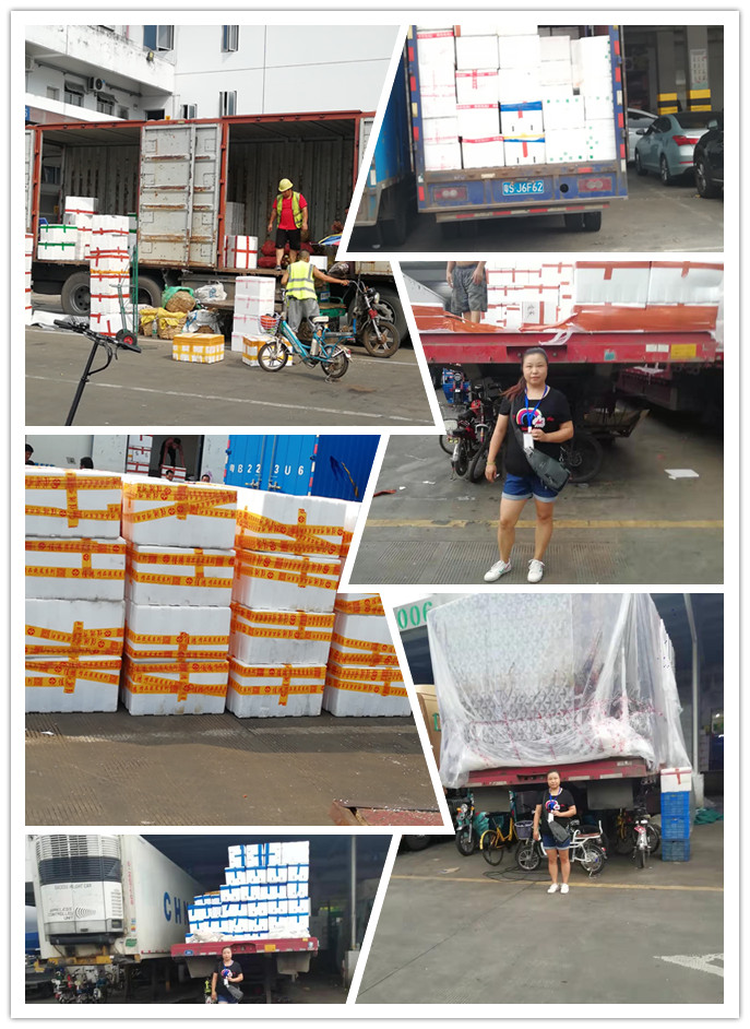 德赢·(VWIN)官方网站-AC米兰官方合作同伴