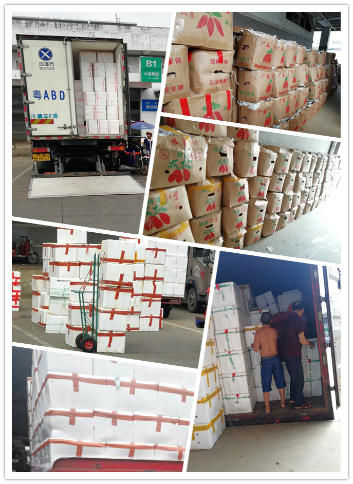 德赢·(VWIN)官方网站-AC米兰官方合作同伴