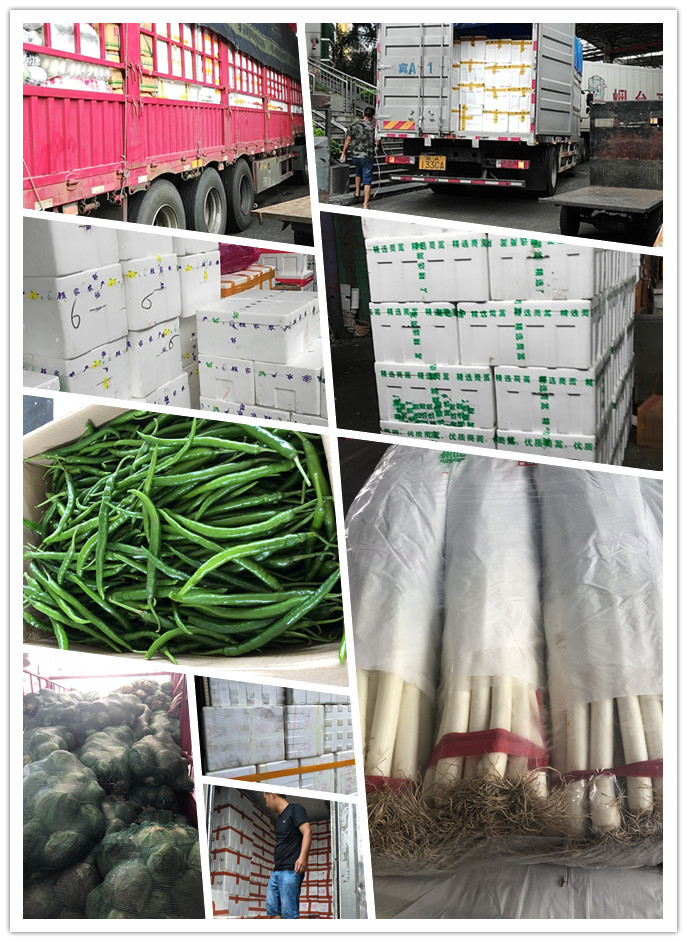 德赢·(VWIN)官方网站-AC米兰官方合作同伴