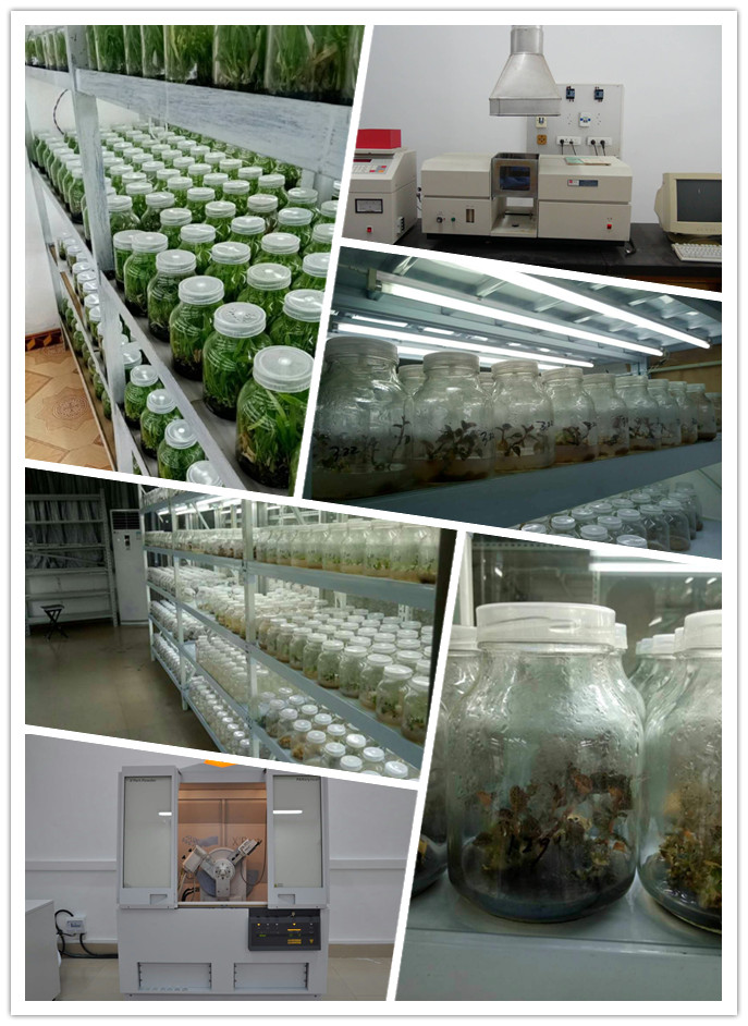 德赢·(VWIN)官方网站-AC米兰官方合作同伴