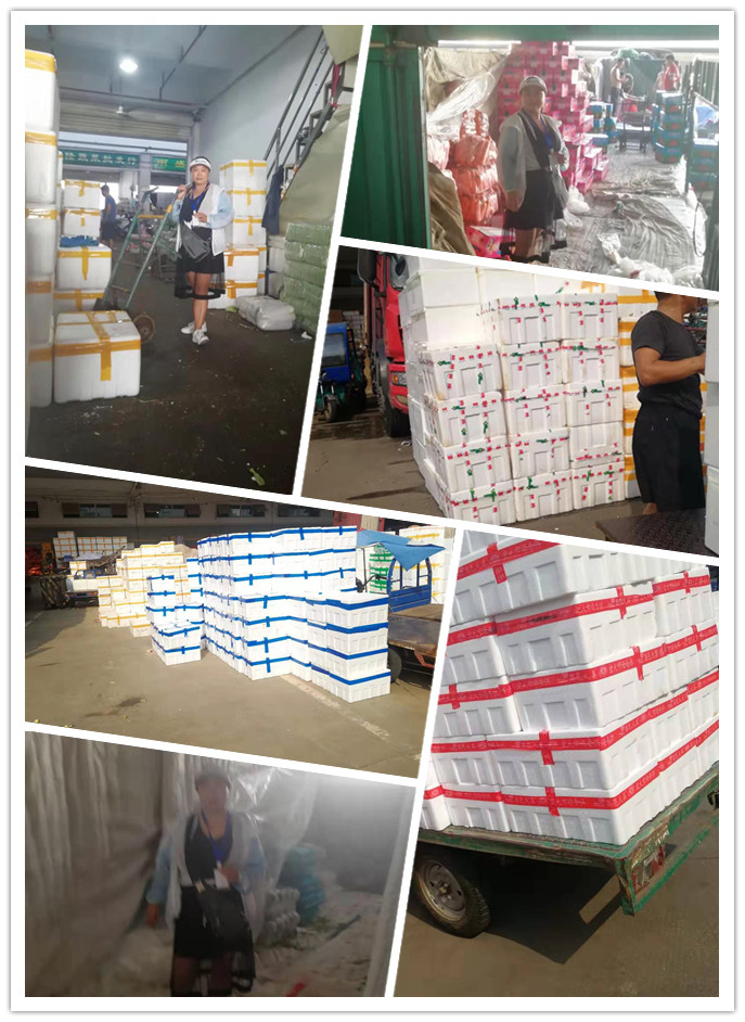 德赢·(VWIN)官方网站-AC米兰官方合作同伴