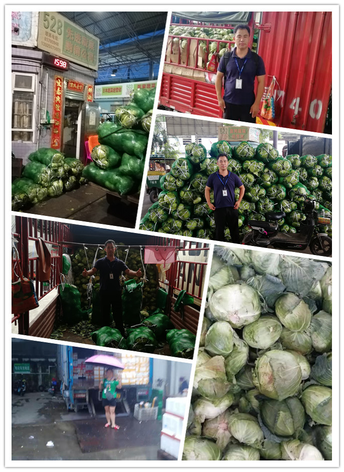 德赢·(VWIN)官方网站-AC米兰官方合作同伴