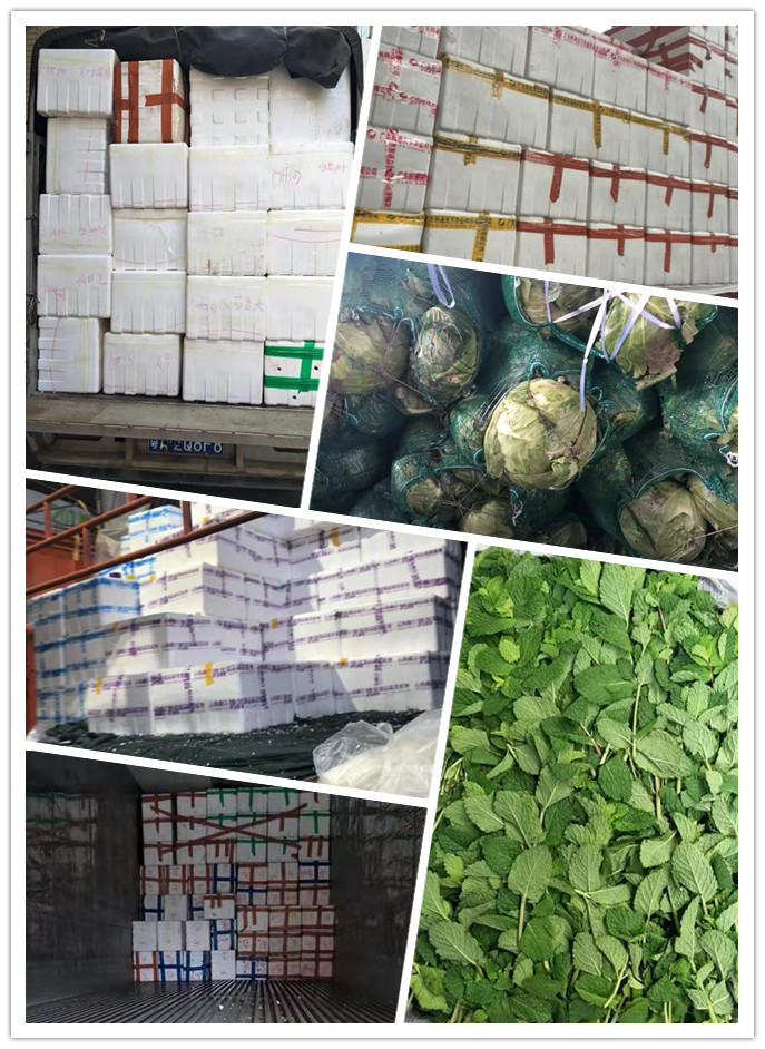 德赢·(VWIN)官方网站-AC米兰官方合作同伴