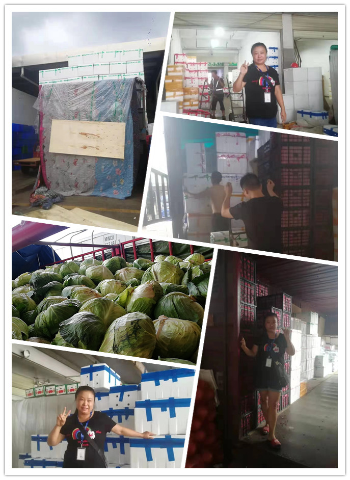 德赢·(VWIN)官方网站-AC米兰官方合作同伴