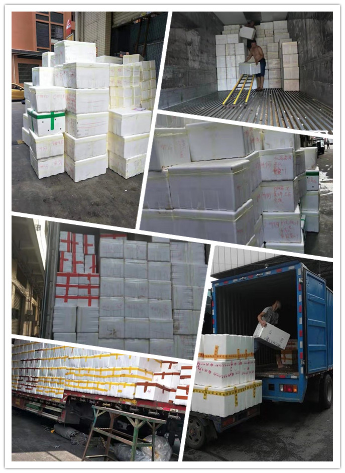 德赢·(VWIN)官方网站-AC米兰官方合作同伴