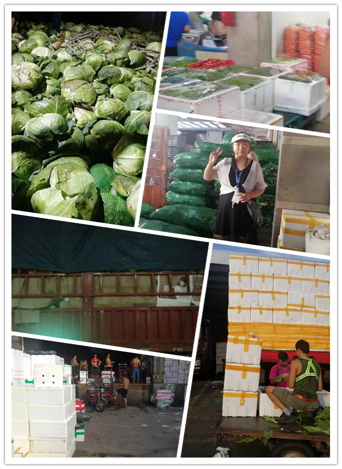 德赢·(VWIN)官方网站-AC米兰官方合作同伴