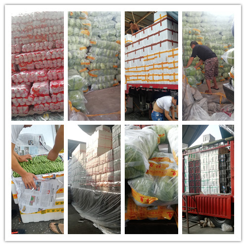 德赢·(VWIN)官方网站-AC米兰官方合作同伴