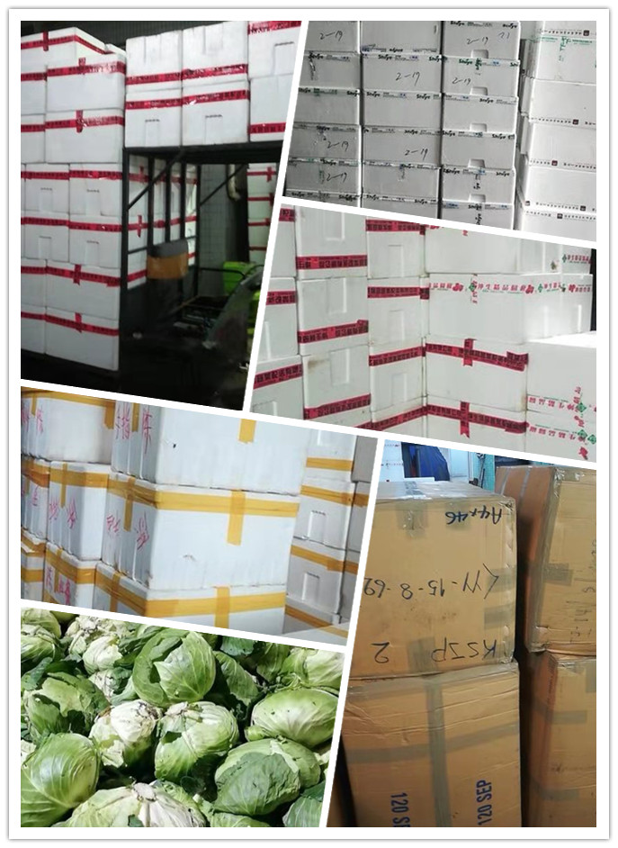 德赢·(VWIN)官方网站-AC米兰官方合作同伴